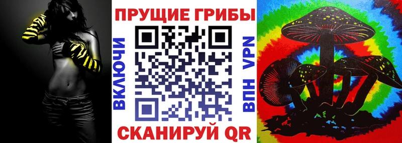 закладки  Ленинск  Галлюциногенные грибы Magic Shrooms 